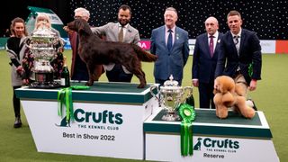 Winner and runner up of the Crufts Dog Show 2022 standing on the podium