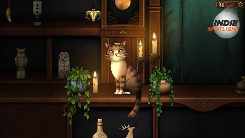 Strange Antiquities screenshot of a cat sitting on the store shelf