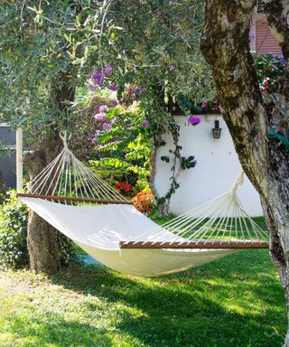 white hammock hanging from trees in garden