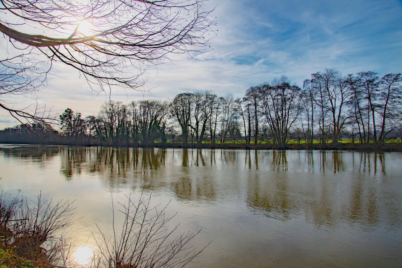 Banks of the River Thames near Maidenhead in Berkshire.