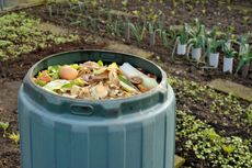 Full Compost Bin In Garden