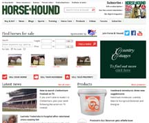 New-website.jpg