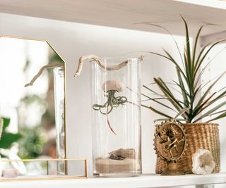 air plant hanging in a glass vase on a shelf by a mirror