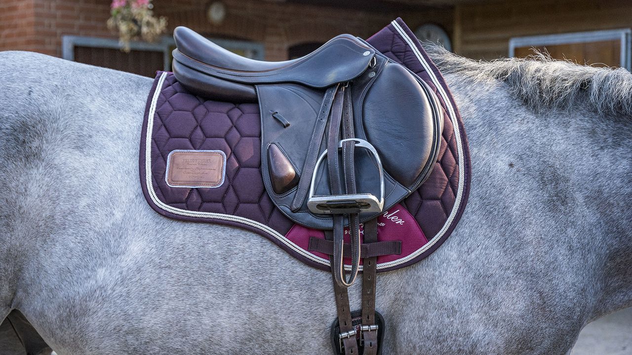 Felix B&uuml;hler Breeze Pro saddle pad review