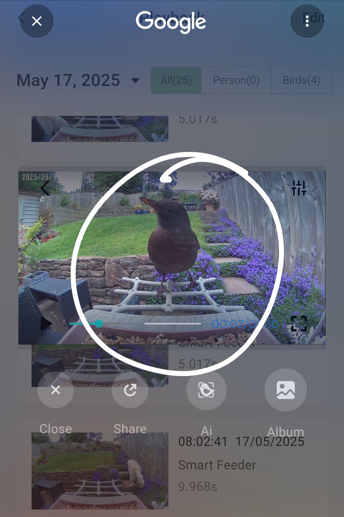 PeckPerk bird camera review