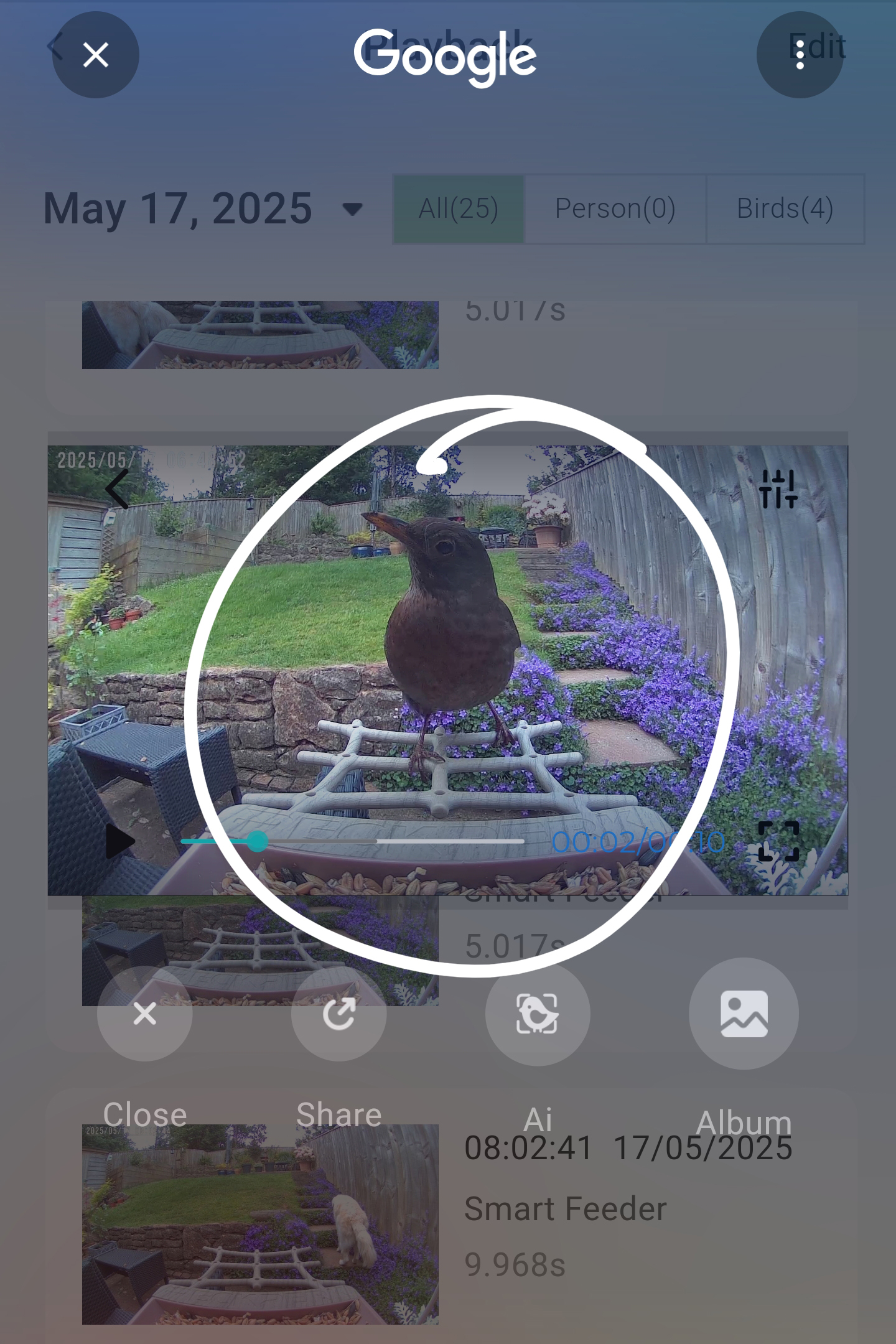PeckPerk bird camera review