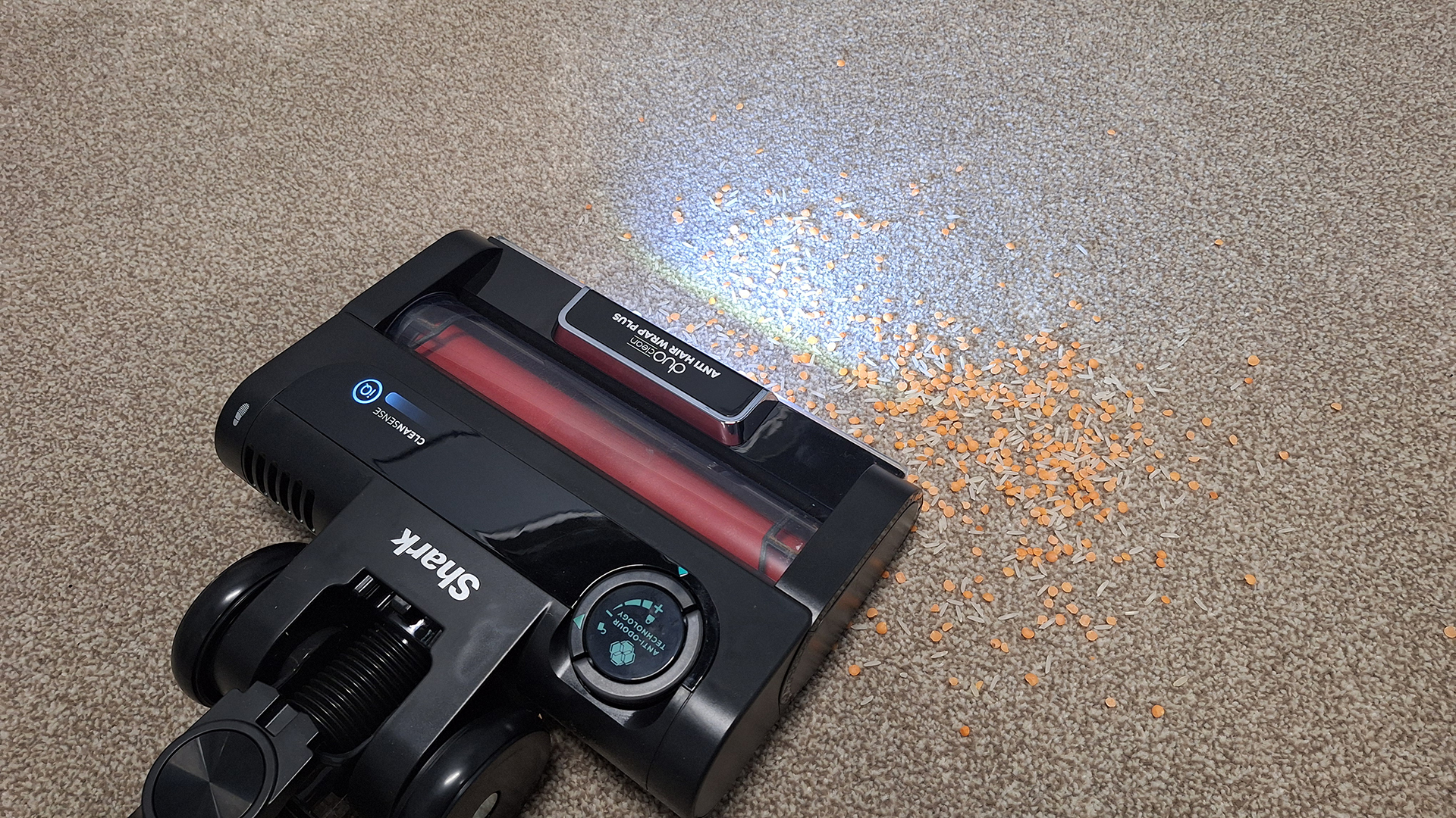 Shark Stratos IZ400 cordless vacuum cleaning rice and lentils from carpet