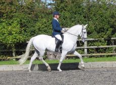 Steves-blog-Lenny-at-comp-e1465834303940.jpg