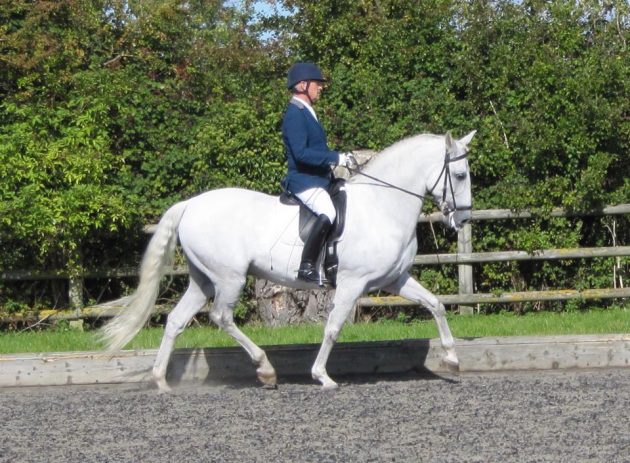 Steves-blog-Lenny-at-comp-e1465834303940.jpg