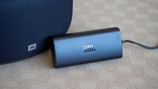 Pictured: The JBL Link 300 power brick.