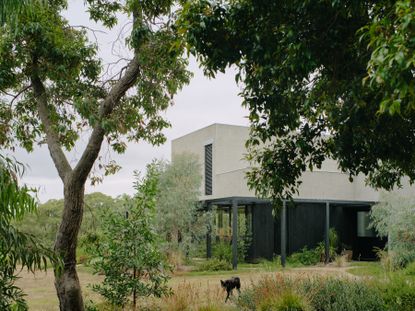 a rural house in australia, designed to be minimalist and surrounded by nature