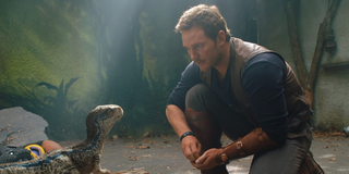 Chris Pratt with Baby Blue in Fallen Kingdom