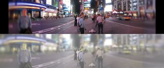 cat vision in times square