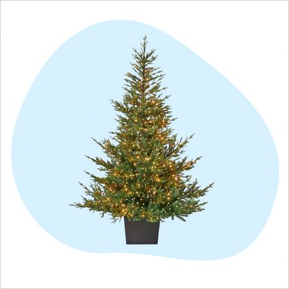 A John Lewis artificial Christmas tree on a blank background