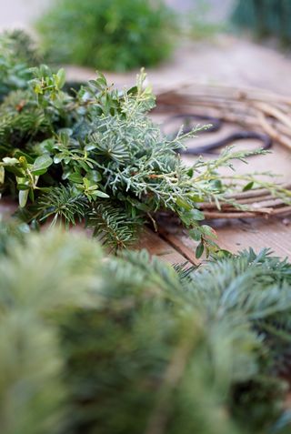 How to make a Christmas wreath Christmas wreath workshop with Philippa Craddock