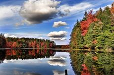 finger lakes wine tour