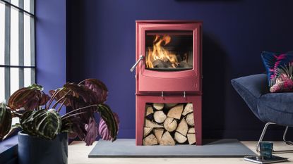 Farringdon Eco stove in living room by Arada