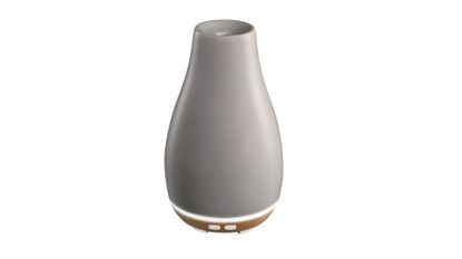 Best essential oil diffusers: 6 picks for natural home scenting | Real ...