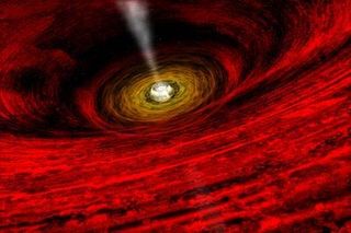 Monster Black Holes May Grow in Giant Star Cocoons