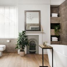 Houseplants including ficus tree next to fireplace in bathroom