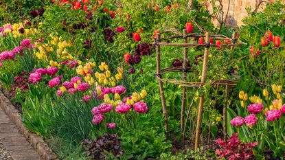 Ways to add color to your spring garden