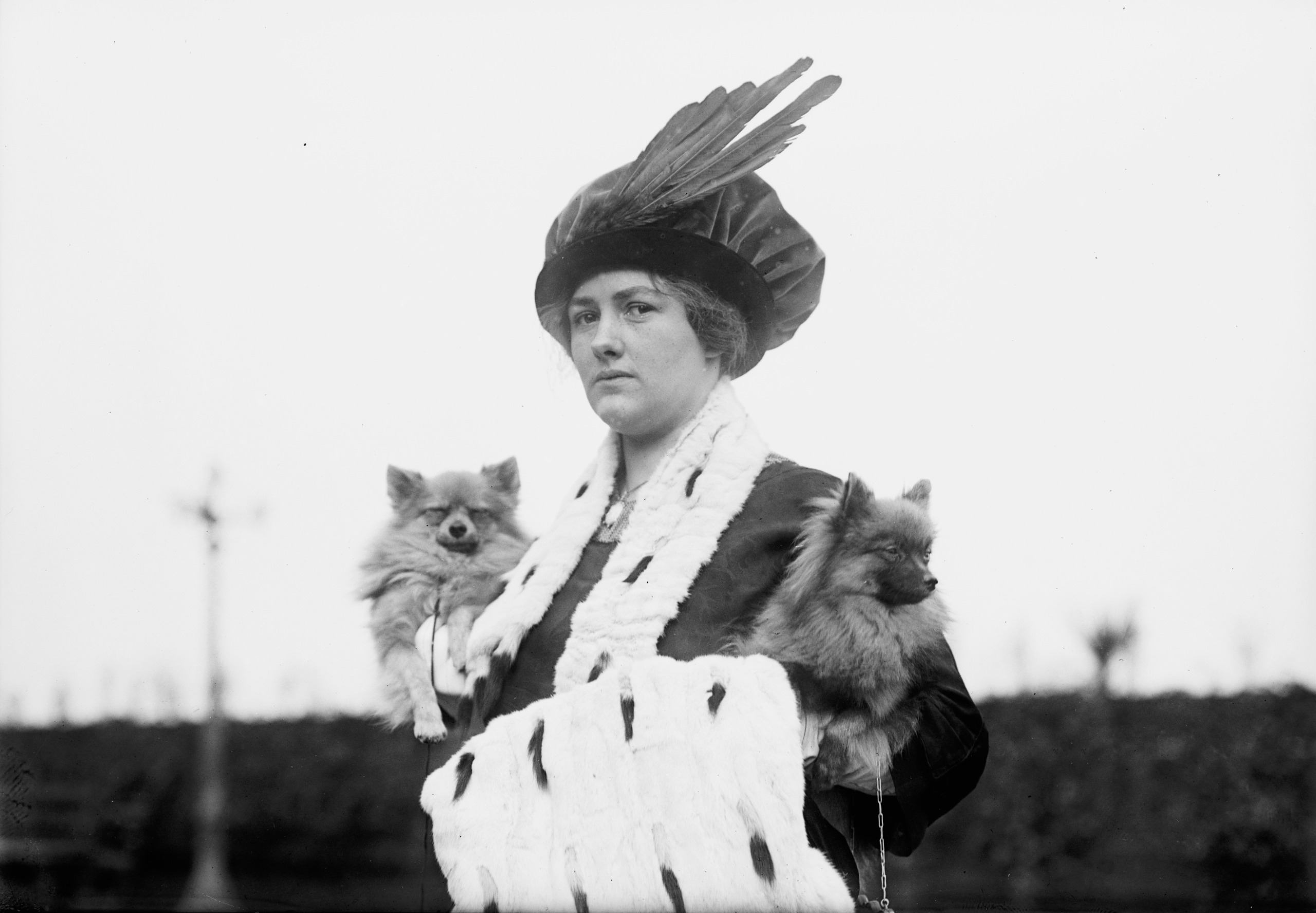 Black-and-white photograph of Edith Stone wearing a feathered hat and fur stole, holding two fluffy Pomeranians, one in each arm, circa 1910&amp;ndash;15.
