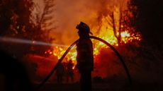 A firefighter is silhouetted against burning vegetation during a wildfire near the city of Concepci&oacute;n, Chile