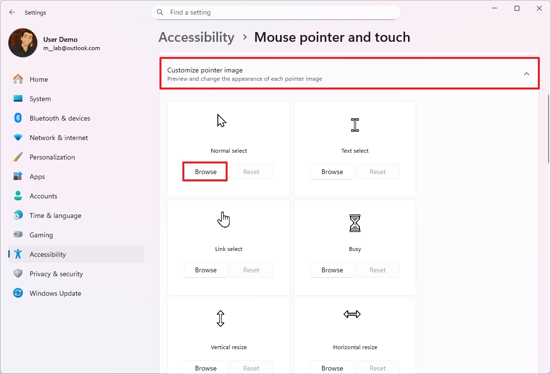 Customize pointer image option