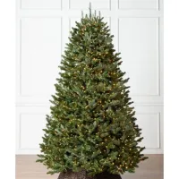 Fraser Fir: was from £509 now from £349 | Balsam Hill