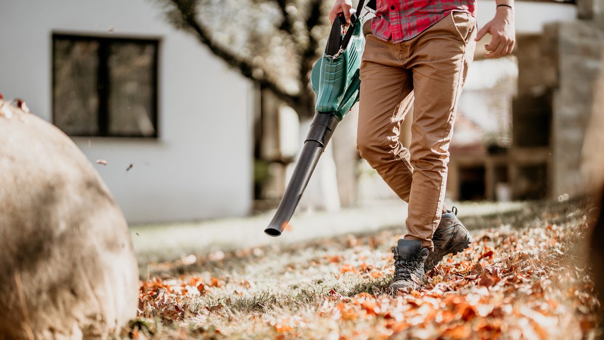 Best leaf blowers 2022 Top Ten Reviews