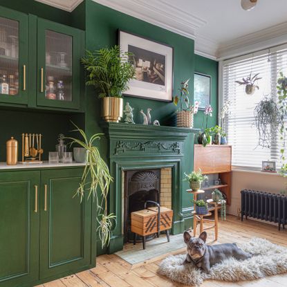 Green living room with houseplants and wooden floorboards