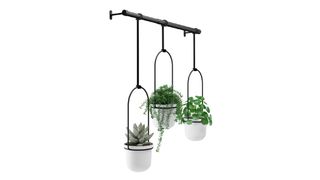 Umbra Triflora hanging planter