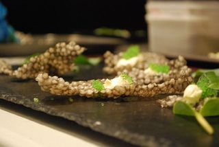 The squid quavers with wasabi pearls