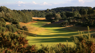 Holinwell Golf Club pictured