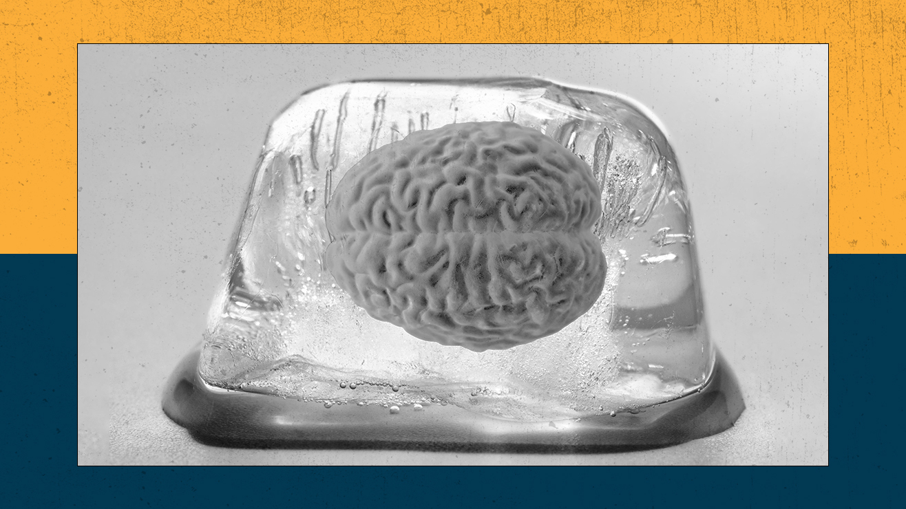 A human brain suspended in an ice cube.