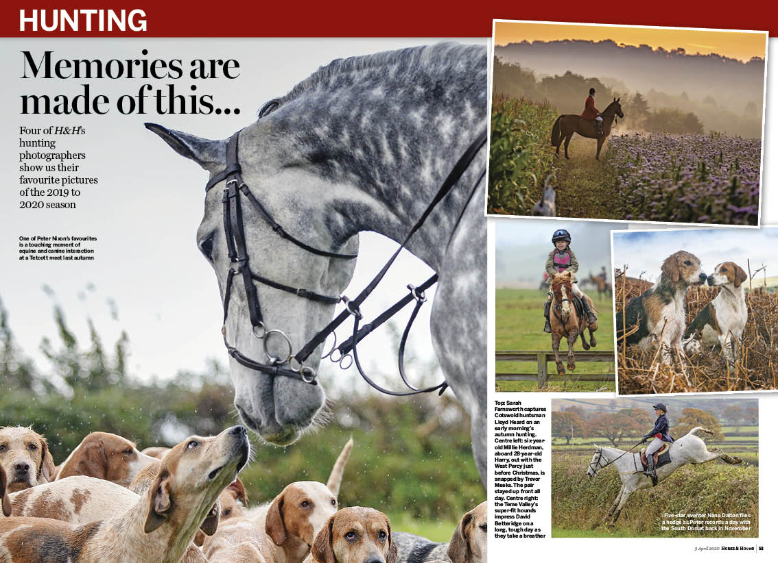 HT 3.5p hunting photos feature
