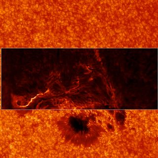 March 29 Detail of Sunspot