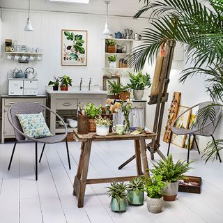 white walls with wooden flooring and potted plants