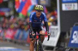 matteo trentin world championships road race