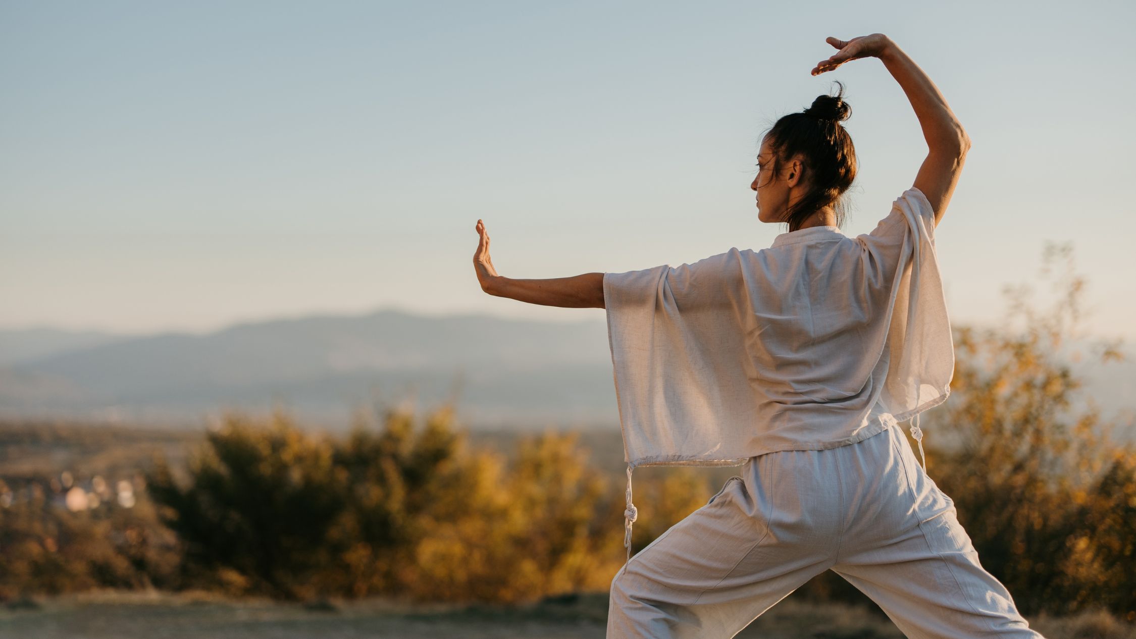 Tai chi workouts