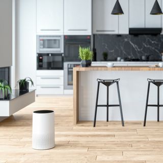 White large capacity air purifier displayed in room