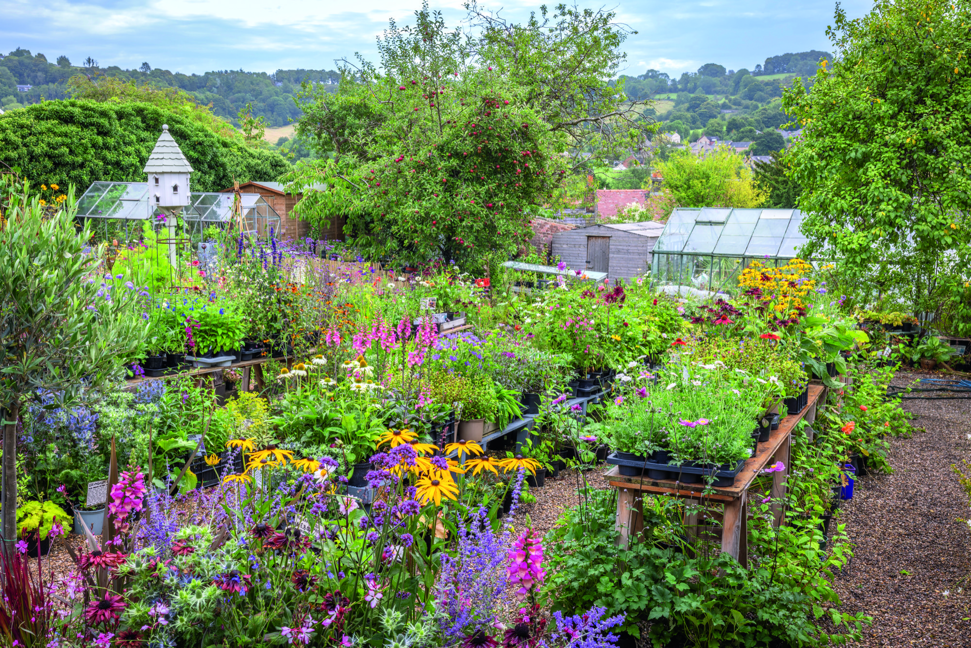 General view of the nursery