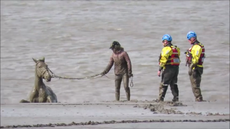 Beach-rescue.png