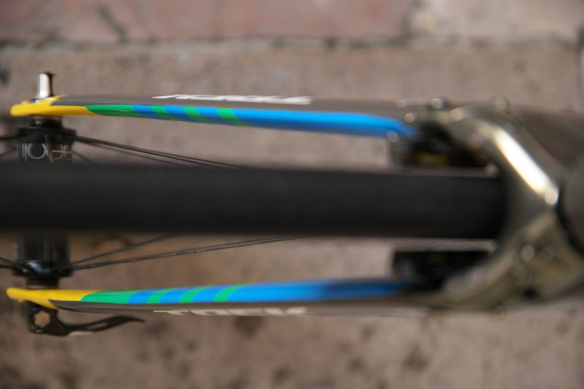 The spring time colourways of the fork are repeated on the chainstays