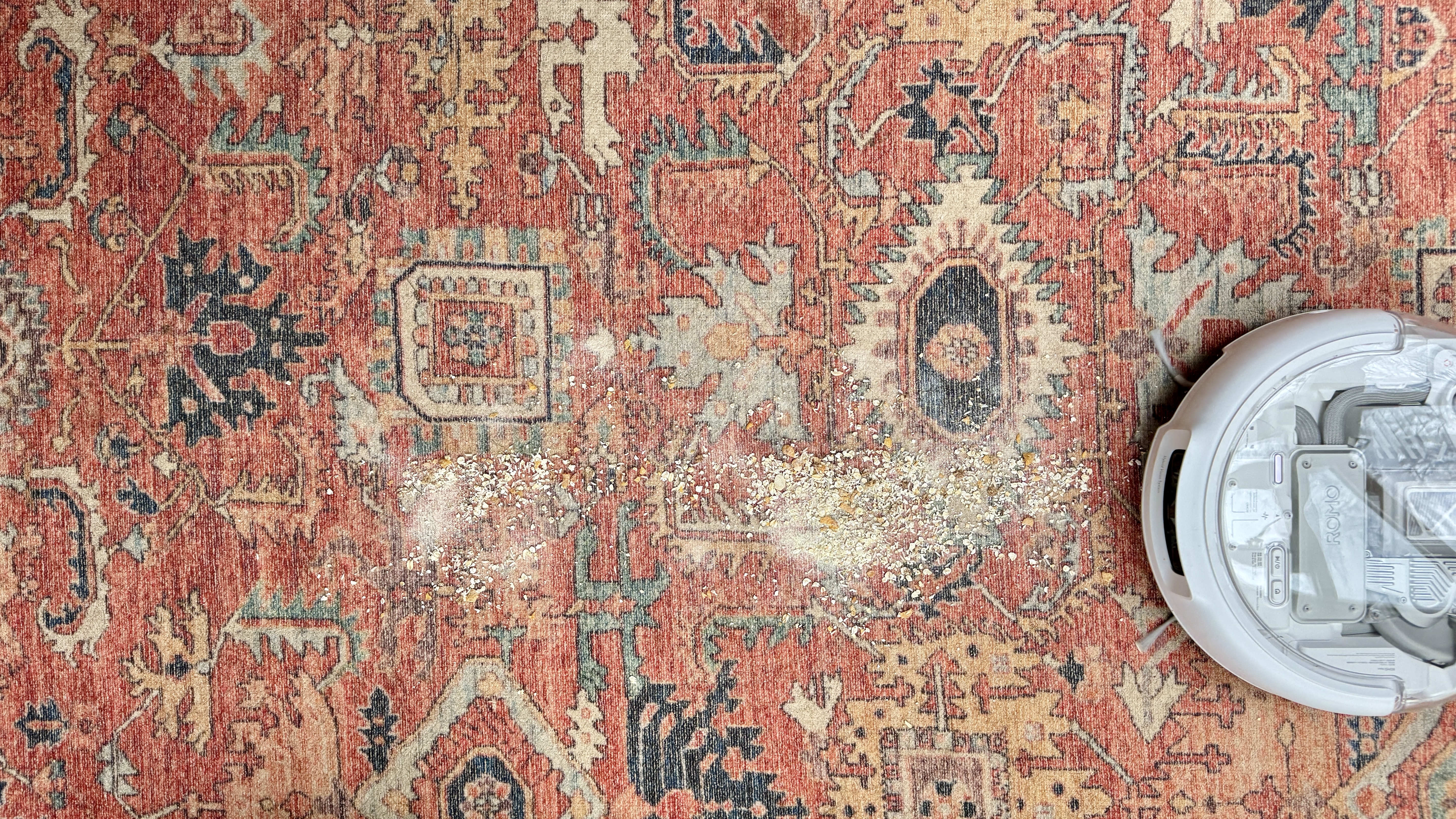 DJI Romo P robot vacuum before vacuuming rug