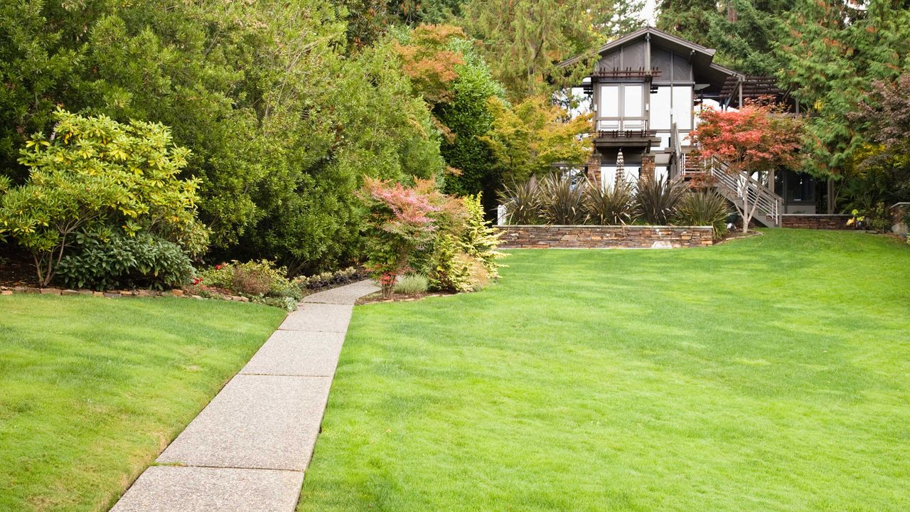 large lawn with path, shrubs and large building