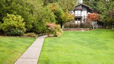 large lawn with path, shrubs and large building