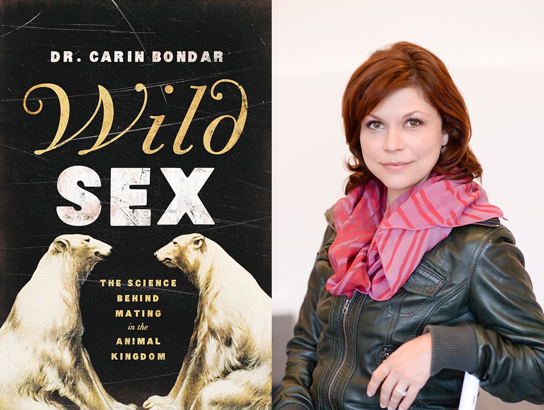 Wild Sex Author Dishes on Weird World of Animal Mating Live Science