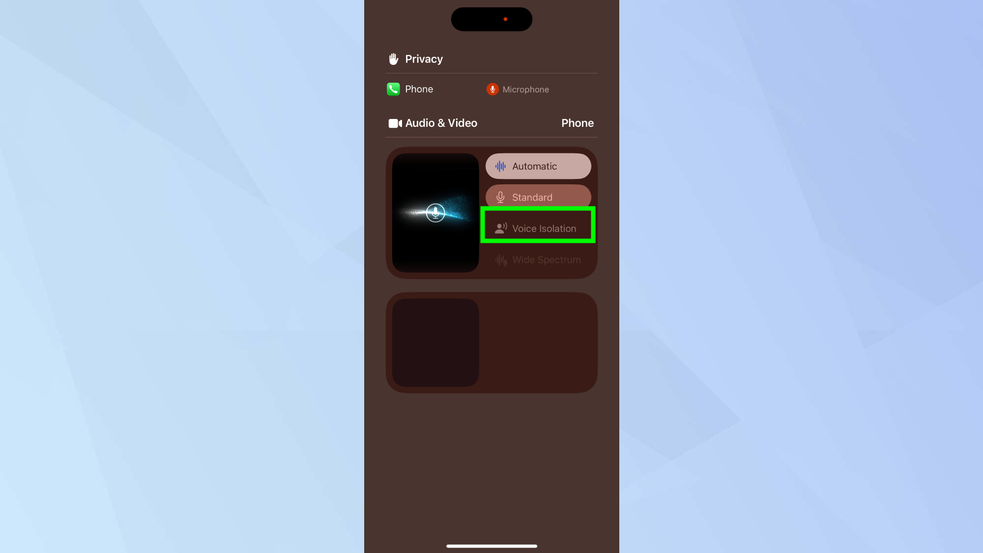 iPhone Voice Isolation