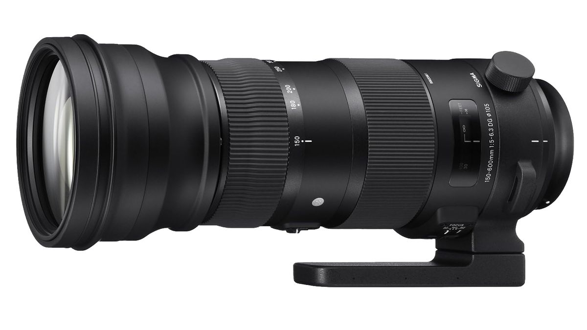 This one lens is the perfect choice for my wildlife photography goals ...
